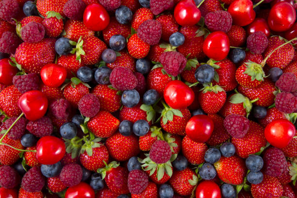 Frutícula
